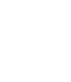 YANAGI