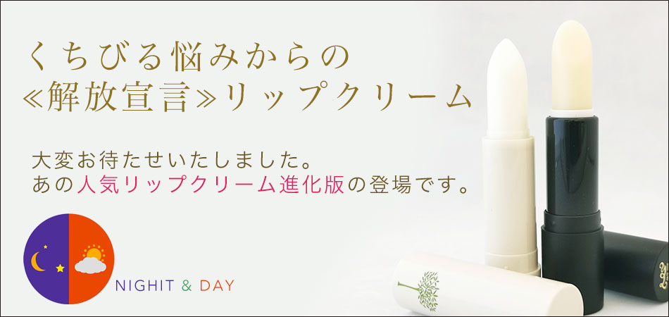 ベニカxファインスプレー その他 1000ml 15本 チュウレンジハバチ ハスモンヨトウ ツツジグンバイ チャドクガ ツノロウムシ ツノロウムシ ヘリグロテントウノミハムシ駆除 北海道 沖縄 離島配送不可 チャドクガ 快適クラブ 店殺虫 抑制効果 ロングタイプ30日